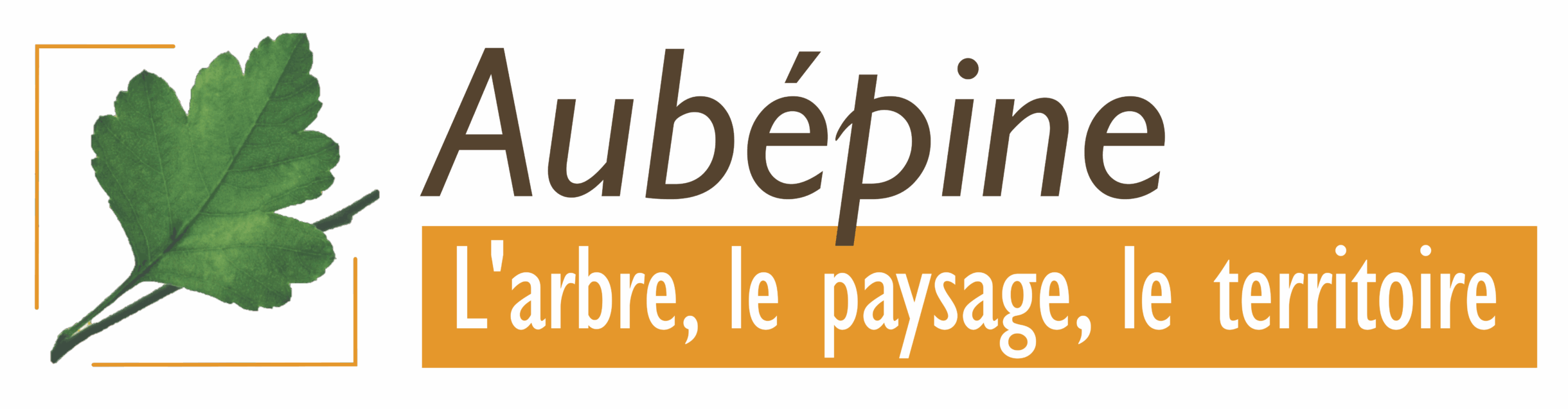 Logo LETG